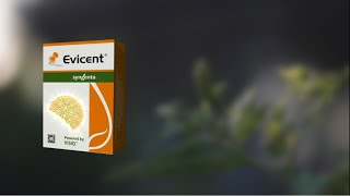 Evicent TVC Hindi  2022  Syngenta [upl. by Assyli]