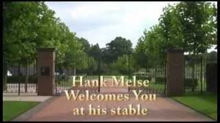 Impression Hank Melse Stables [upl. by Nylidam]