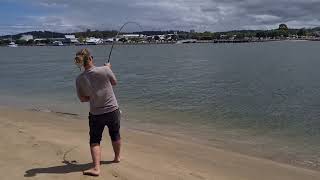 Fisherman Hooks MASSIVE Fish Under Batemans Bay Bridge [upl. by Ycnuahc739]