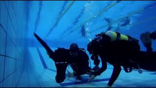 Buoyancy test of Apeks RK3 and RK3  Mares Flexa DS boots 5mm [upl. by Aynotan]