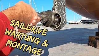 Saildrive Yanmar SD50 Wartung amp Montage DIY [upl. by Nodarse]