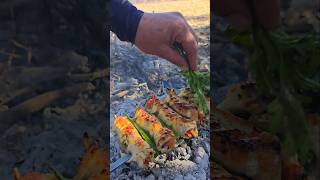 the kebab everyone will fall in love with😋🔥 kebab asmr outdoor food chef camping shorts [upl. by Ayifas550]