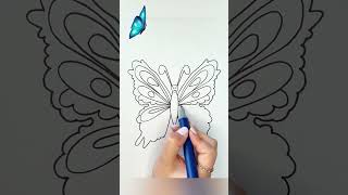 How to Draw a Beautiful Butterfly [upl. by Yseulta]