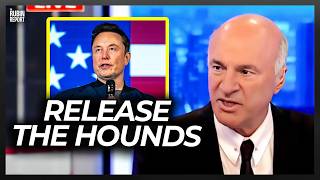 Shark Tank Legend Visibly Shocks Host w What Elon Musk Could Do to Gov’t [upl. by Rudin]