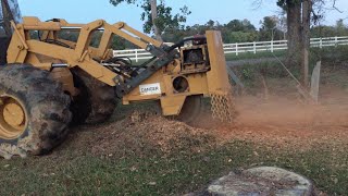 Hydro AX With a Stump Grinder Grinding Pine Stumps [upl. by Ruffo]