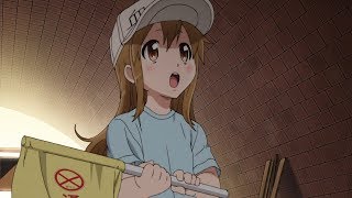 Live Reaction Hataraku Saibou Ep1 [upl. by Clawson927]