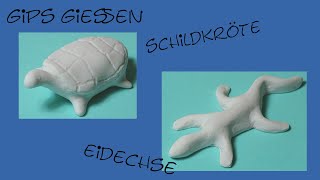 Gips gießen  Schildkröte Eidechse [upl. by Pruter]