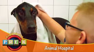 Animal Hospital  Virtual Field Trip  KidVision PreK [upl. by Eirrab]