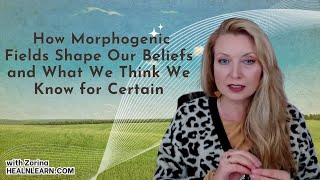 The Morphogenic Fields of Your Beliefs and of the Consciousness Methods You Use Like Remote Viewing [upl. by Zetrok852]