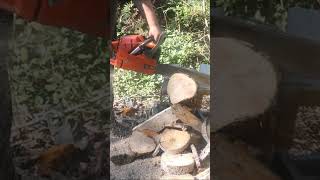 chainsaw husqvarna firewood [upl. by Cran87]