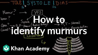 How to identify murmurs  Circulatory System and Disease  NCLEXRN  Khan Academy [upl. by Areehs]