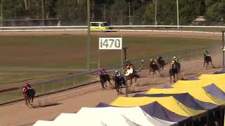 Gympie 20240615 Race 4 [upl. by Cogen]