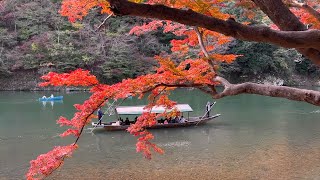 111923  Arashiyama [upl. by Asit325]