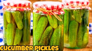 the Best cucumber pickles in the world  Easy and delicious pickle for family [upl. by Ceevah515]