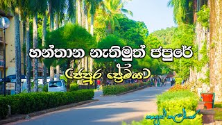 හන්තාන නැතිමුත් ජපුරේ  Kasun Kalhara  Japura Premaya  University of Sri Jayewardenepura [upl. by Guido746]