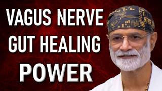 How the Vagus Nerve Heals Your Gut The Key to Digestive Health and Healing [upl. by Eniamert]