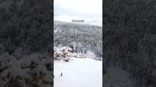 Heated Coaches on Durango Trains Winter Cascade Canyon Train [upl. by Auvil]