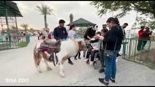 erbil zoo [upl. by Anilejna]