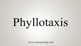 How To Say Phyllotaxis [upl. by Ahsekad]