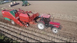 Potato Harvest in Norway 2019 [upl. by Noirod]