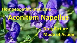 Aconitum Napellus for fears anxiety and restlessness  Homeopathy 👍 shortsviral [upl. by Angie]