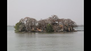 Kunta Kinteh Island Tour  Formerly James Island  Gambia April 2021 Roots amp Culture Journey [upl. by Enyrat498]