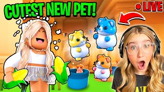 NEW Hamsters UPDATE in Adopt Me Neon Diamond Hamster Roblox LIVE [upl. by Aliwt]