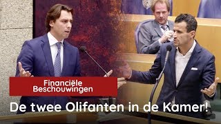 De twee Olifanten in de Kamer [upl. by Willamina]