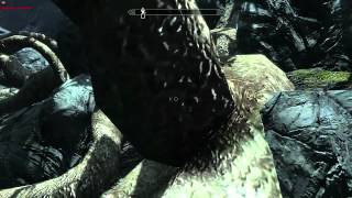 Kilplix Plays Skyrim 51  FOLLOW THAT SPRIGGAN [upl. by Aikemaj644]