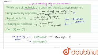 Which type of nephridia are open and devoid of nephrostome   12  STRUCTURAL ORGANISATION IN A [upl. by Neelyahs]