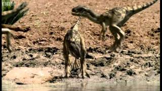 Infant Allosauruses  Walking with Dinosaurs Ballad of Big Al  BBC [upl. by Hashum]