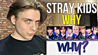 Stray Kids  ‘WHY’ OST Месть В конце желаний  РЕАКЦИЯ НА КПОП [upl. by Yojenitsirk453]