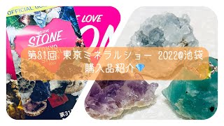 第31回 東京ミネラルショー 2022池袋 購入品紹介💎 [upl. by Adnawaj]