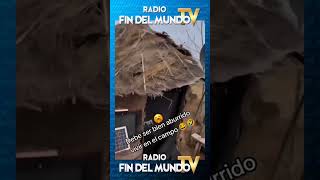 😅🎶👉🏽 𝙎í𝙜𝙪𝙚𝙣𝙤𝙨 𝙚𝙣 radiofindelmundotv ⭐️ radiofindelmundotv futbol Reels [upl. by Leinaj510]