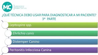 PARTE 3 ¿Qué técnica debo usar para diagnosticar a mi paciente [upl. by Olonam]