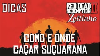 Red Dead Redemption 2  Como Caçar Suçuarana [upl. by Bent]