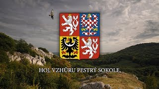 Czech Sokol March  quotHoj vzhůru pestrý Sokolequot [upl. by Rosenstein]