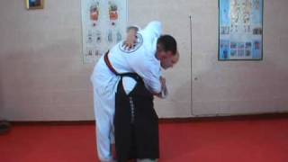 Junsei Ryu Hoshin Jutsu Breaking Front Attacks Kaeshi Waza [upl. by Gristede]