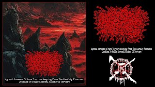 Agonal Screams of Pure Torture Single For EP [upl. by Nnylirret608]