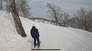 アルペンスキー国体選手だった妻が4シーズンぶりのスキーがまさかの春！SUPER SESSION！夏油高原スキー場 [upl. by Ben]