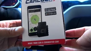 Carlock AntiTheft amp Vehicle Monitoring Device Review on a Tesla [upl. by Volnak412]