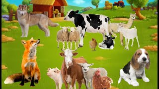 Beautiful Moments on A Farm With Animals  Bison Dog Cow Duck Elephant Cat  As the Animals Say [upl. by Eelsha]