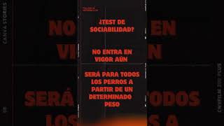 ¿Dudas sobre la nueva Ley de bienestar animal En SrPerro encuentras las respuestas [upl. by Batholomew]