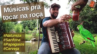 SÓ A SANFONA CANTANDO pot pourri de moda caipira na roça [upl. by Alue633]