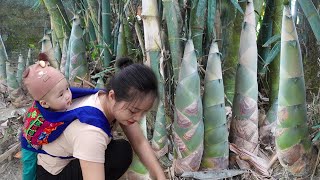 30 Days 18YearOld Single Mother  Harvesting Wild Bamboo Shoots Corn Pumpkins  Startup Journey [upl. by Aikyt]