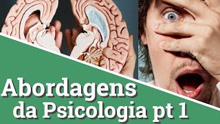 Abordagens da Psicologia parte 1 [upl. by Nelle]