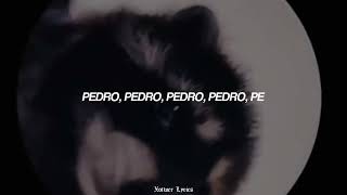 PEDRO PEDRO PEDRO PE LETRALYRICS [upl. by Mellen]