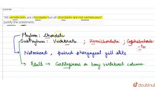 “All vertebrates are chordates but all chordates are not vertebrates” Justify the statement [upl. by Eatnahs669]