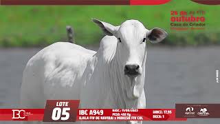 LOTE 05 IBC A949 [upl. by Otsirc527]