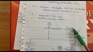 Splenic Injury Causes Symptoms and Treatment medicalstudent surgery [upl. by Arik]